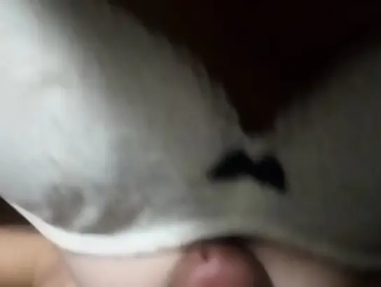 Watch Dasi Teenage Class College Nymph Spectacular GF Deepthroat Krta Koi Aagya & Get Her Big Tits Banged